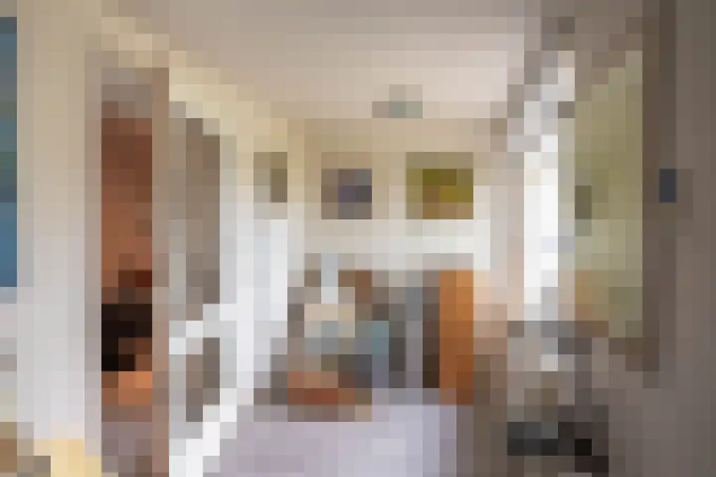 Vogelzangsterweg 2 Hegebeintum thumbnail 27