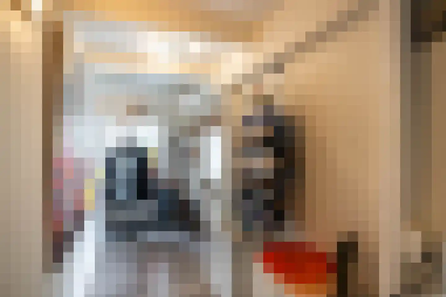 Vogelzangsterweg 2 Hegebeintum thumbnail 31