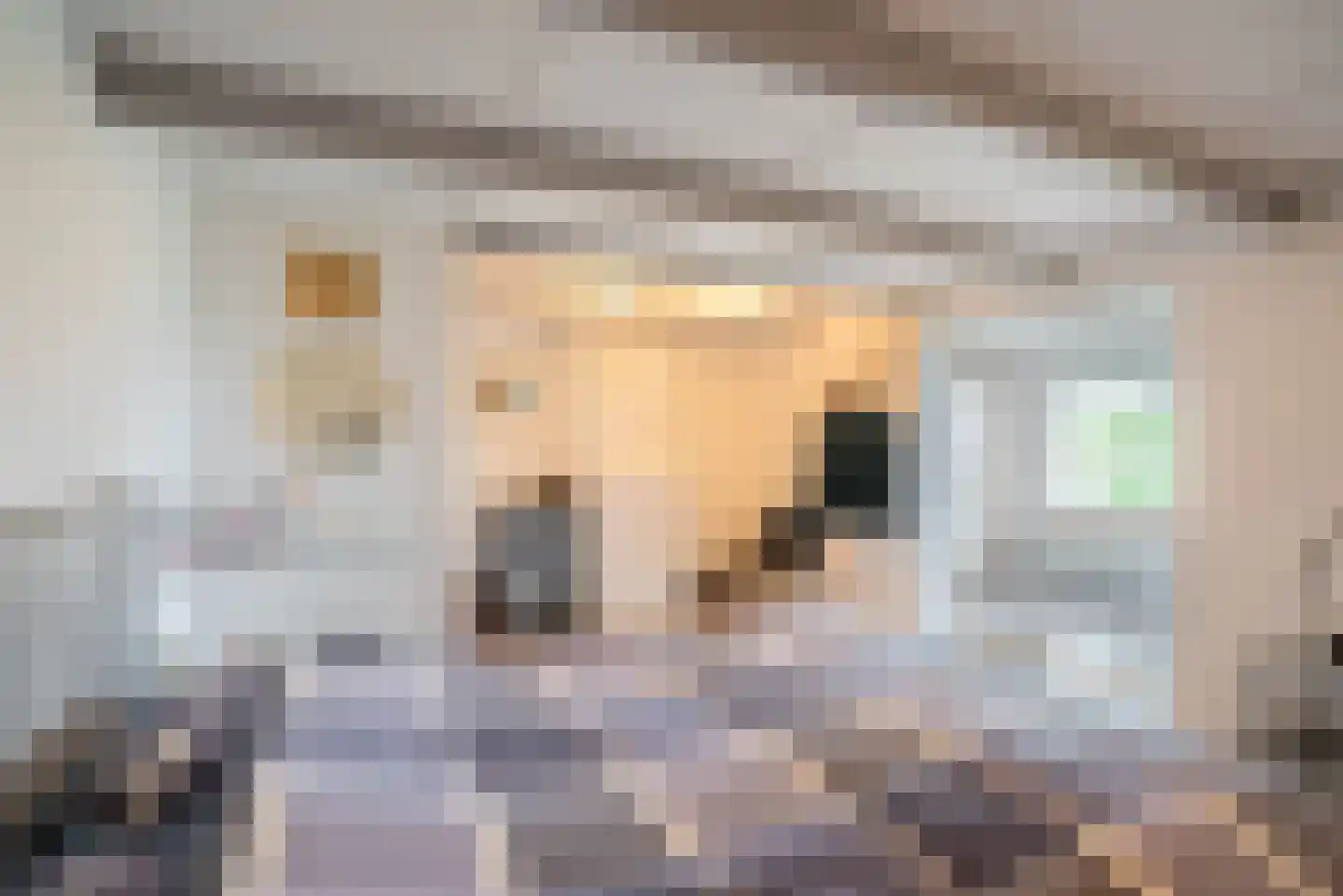 Vogelzangsterweg 2 Hegebeintum thumbnail 32