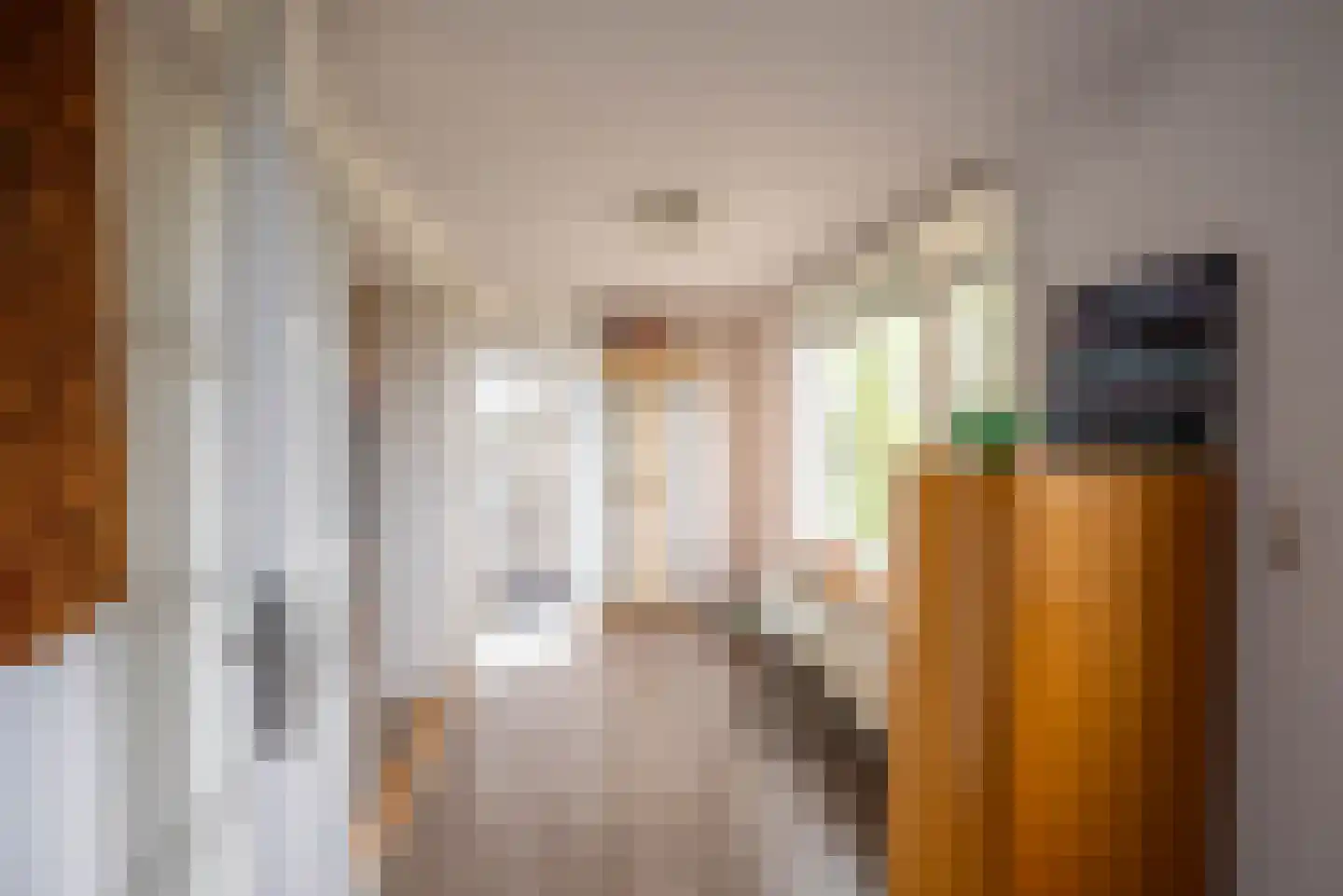 Vogelzangsterweg 2 Hegebeintum thumbnail 34