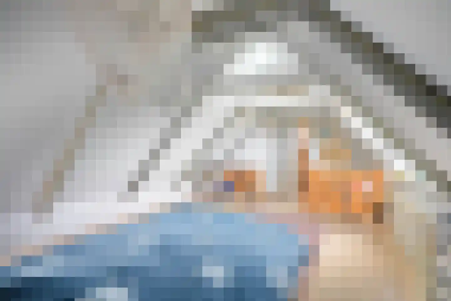 Vogelzangsterweg 2 Hegebeintum thumbnail 37