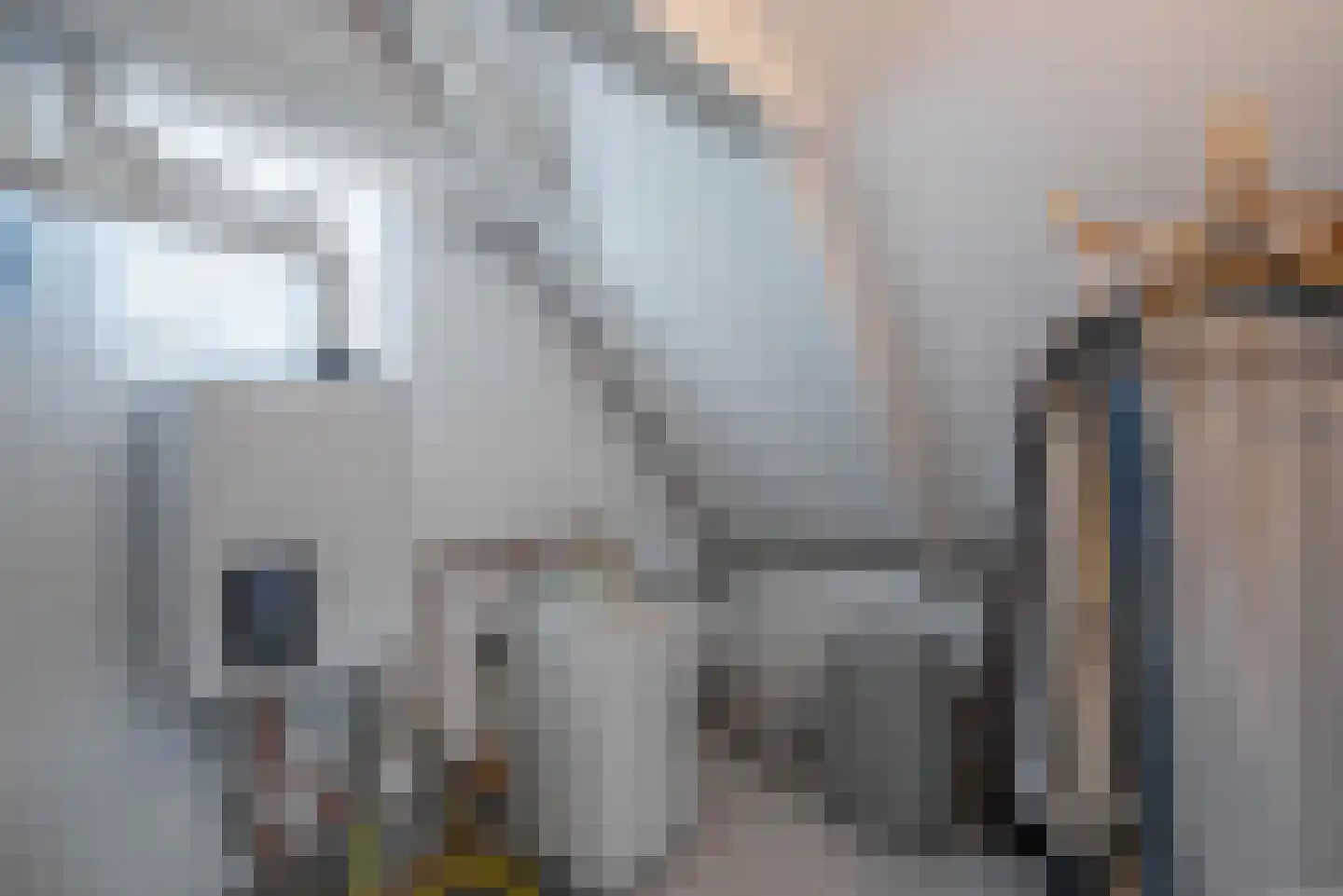 Vogelzangsterweg 2 Hegebeintum thumbnail 38