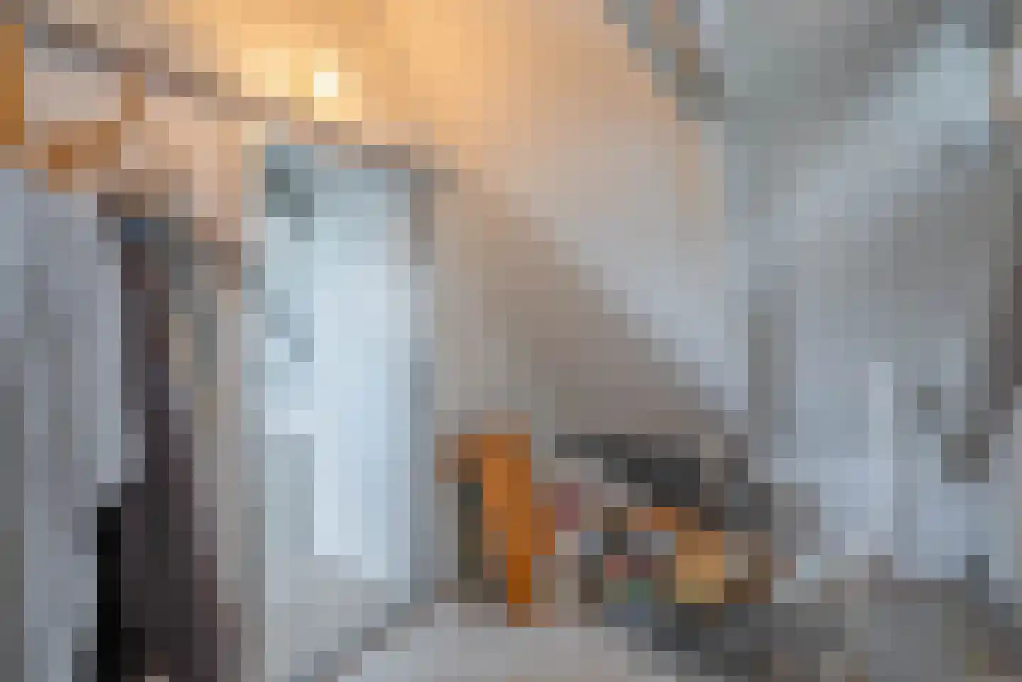 Vogelzangsterweg 2 Hegebeintum thumbnail 39