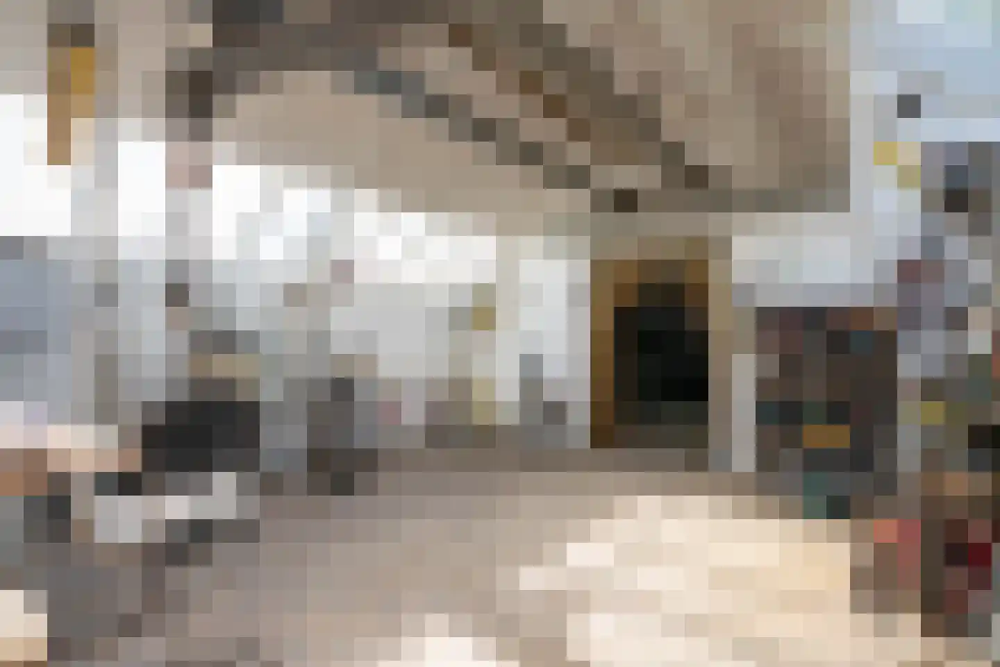 Vogelzangsterweg 2 Hegebeintum thumbnail 40