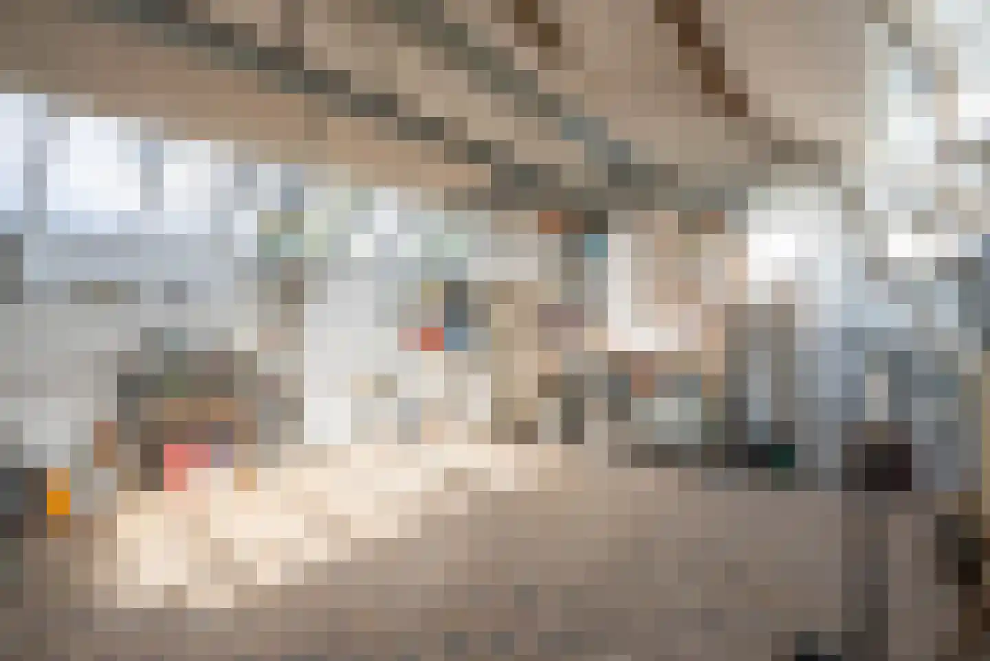 Vogelzangsterweg 2 Hegebeintum thumbnail 41