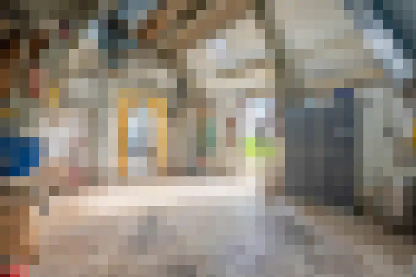 Vogelzangsterweg 2 Hegebeintum thumbnail 42