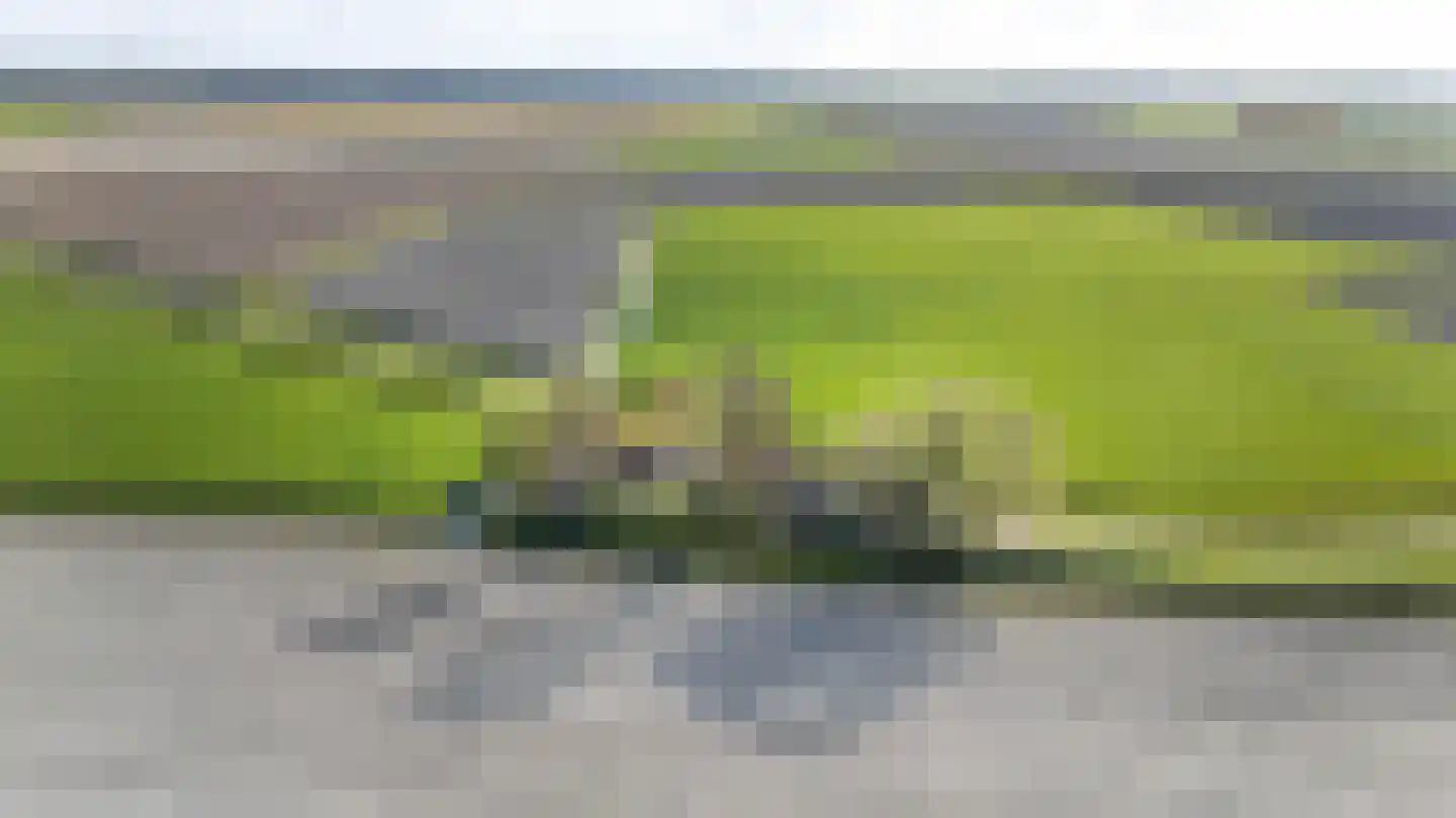 Vogelzangsterweg 2 Hegebeintum thumbnail 46