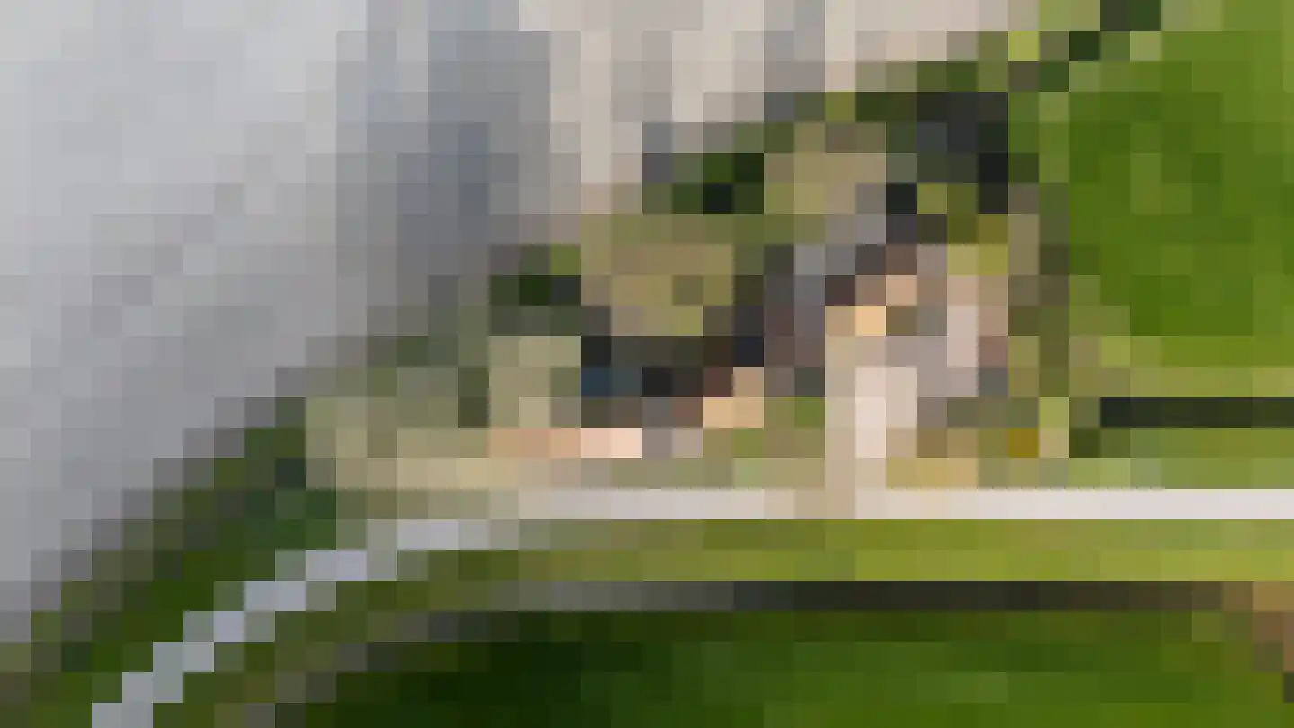 Vogelzangsterweg 2 Hegebeintum thumbnail 47
