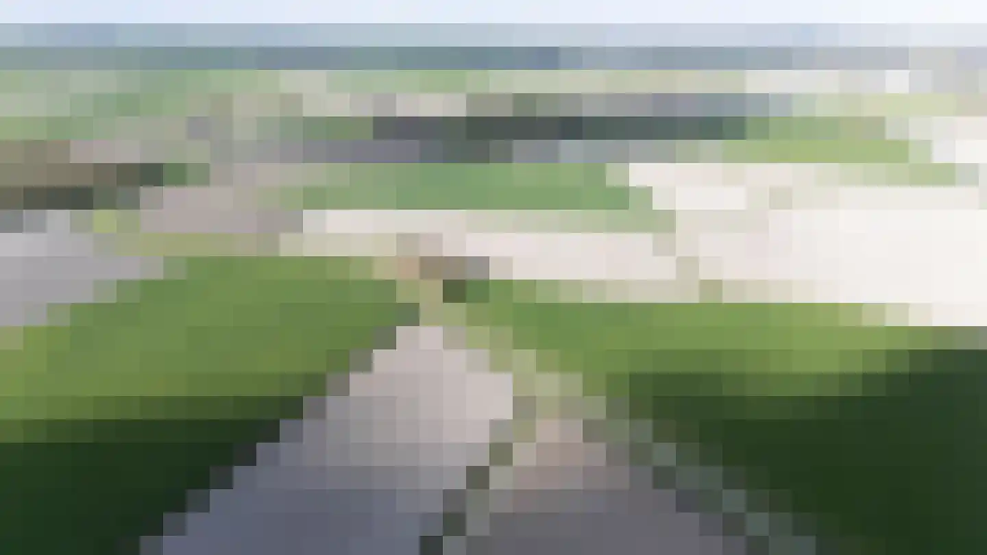 Vogelzangsterweg 2 Hegebeintum thumbnail 49