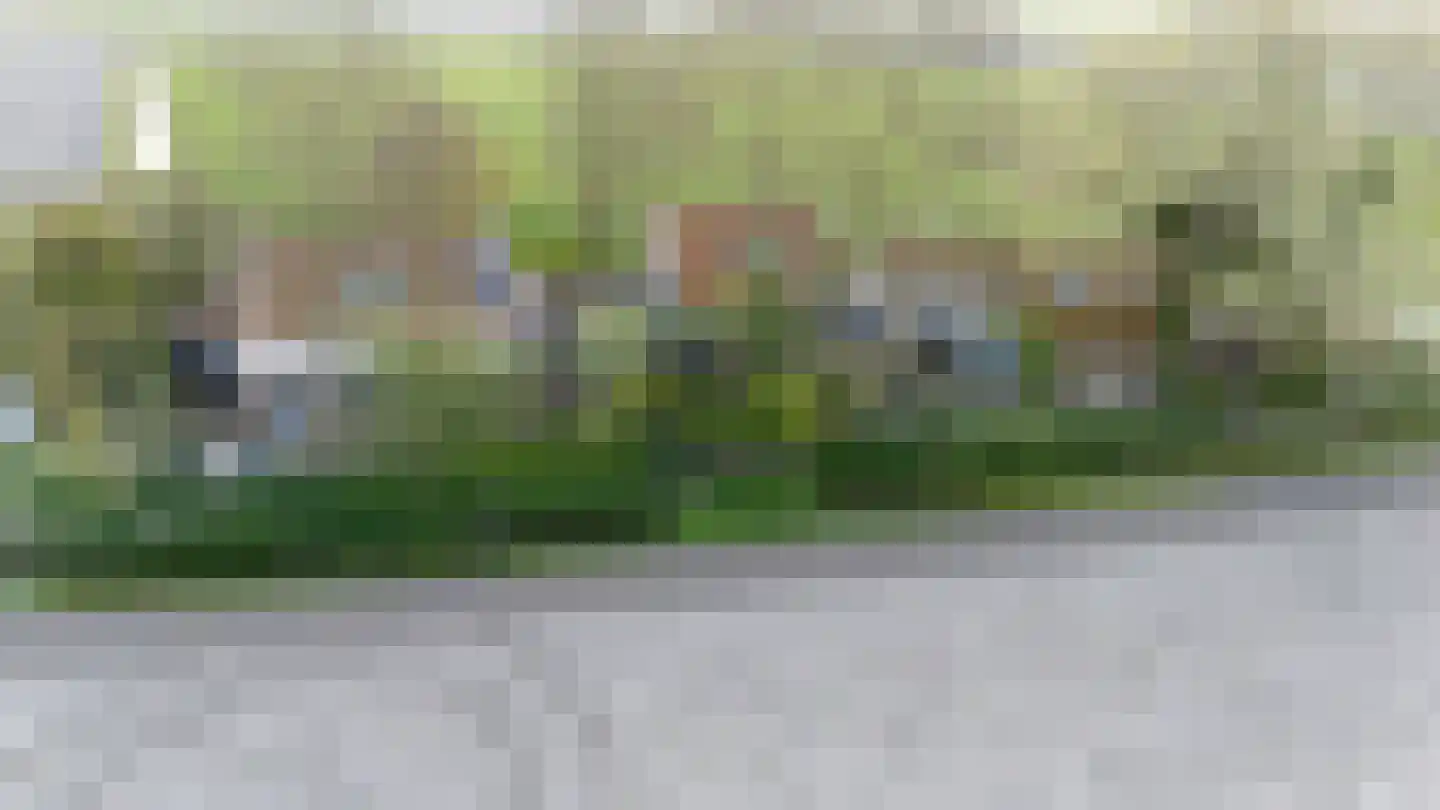 Vogelzangsterweg 2 Hegebeintum thumbnail 5