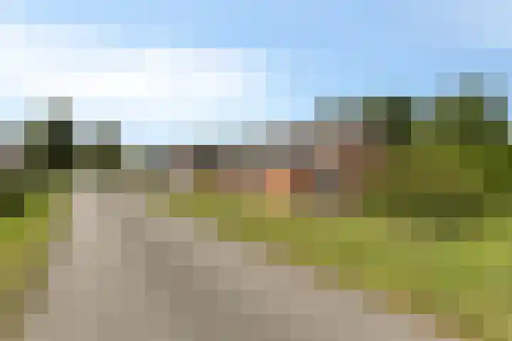 Vogelzangsterweg 3 Scheemda thumbnail 10