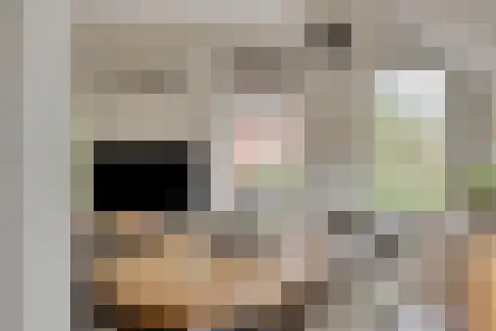 Vogelzangsterweg 3 Scheemda thumbnail 19