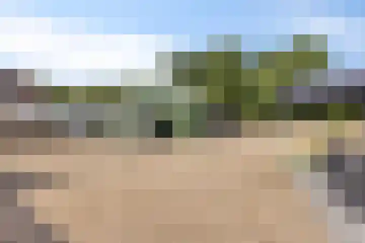 Vogelzangsterweg 3 Scheemda thumbnail 41