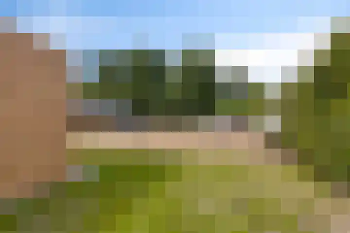 Vogelzangsterweg 3 Scheemda thumbnail 51