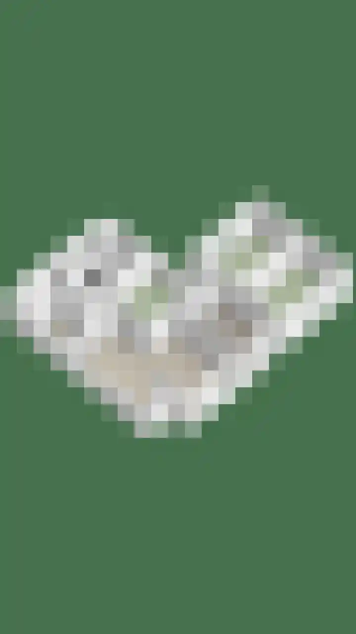 Vogelzangsterweg 3 Scheemda thumbnail 61