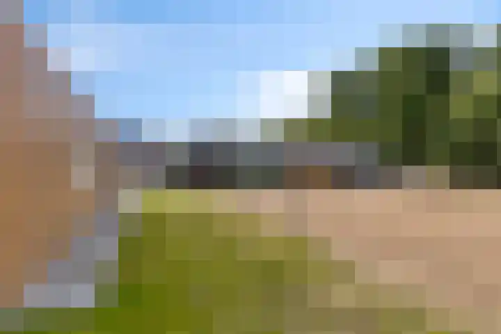 Vogelzangsterweg 3 Scheemda thumbnail 7