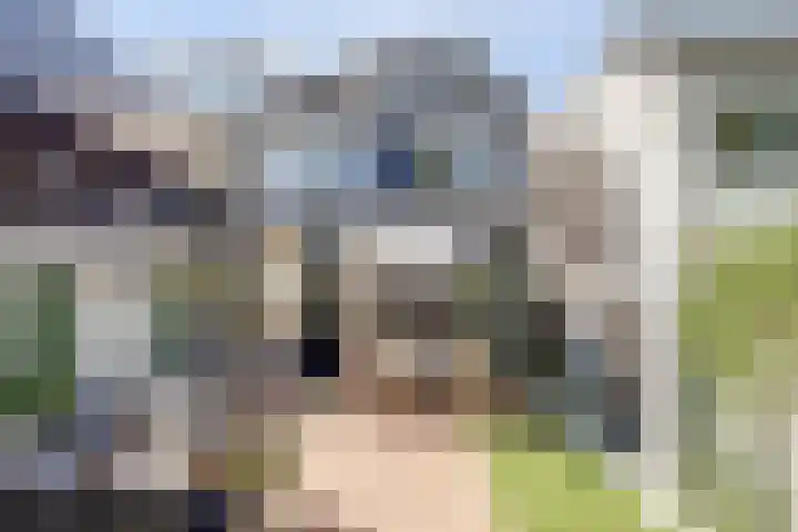 Vogelzangstraat 35 Heerhugowaard thumbnail 16