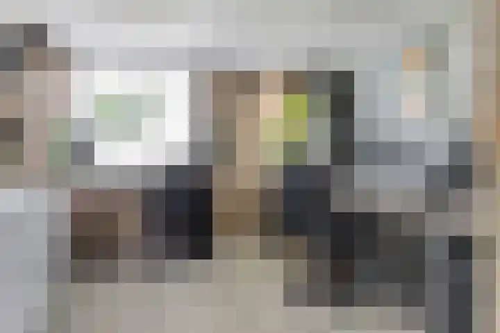 Vogelzangstraat 35 Heerhugowaard thumbnail 37