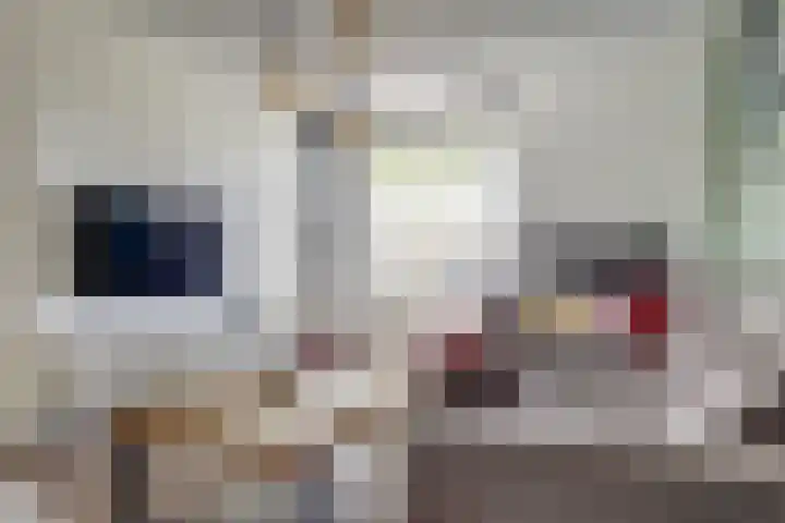 Vogelzangstraat 35 Heerhugowaard thumbnail 7