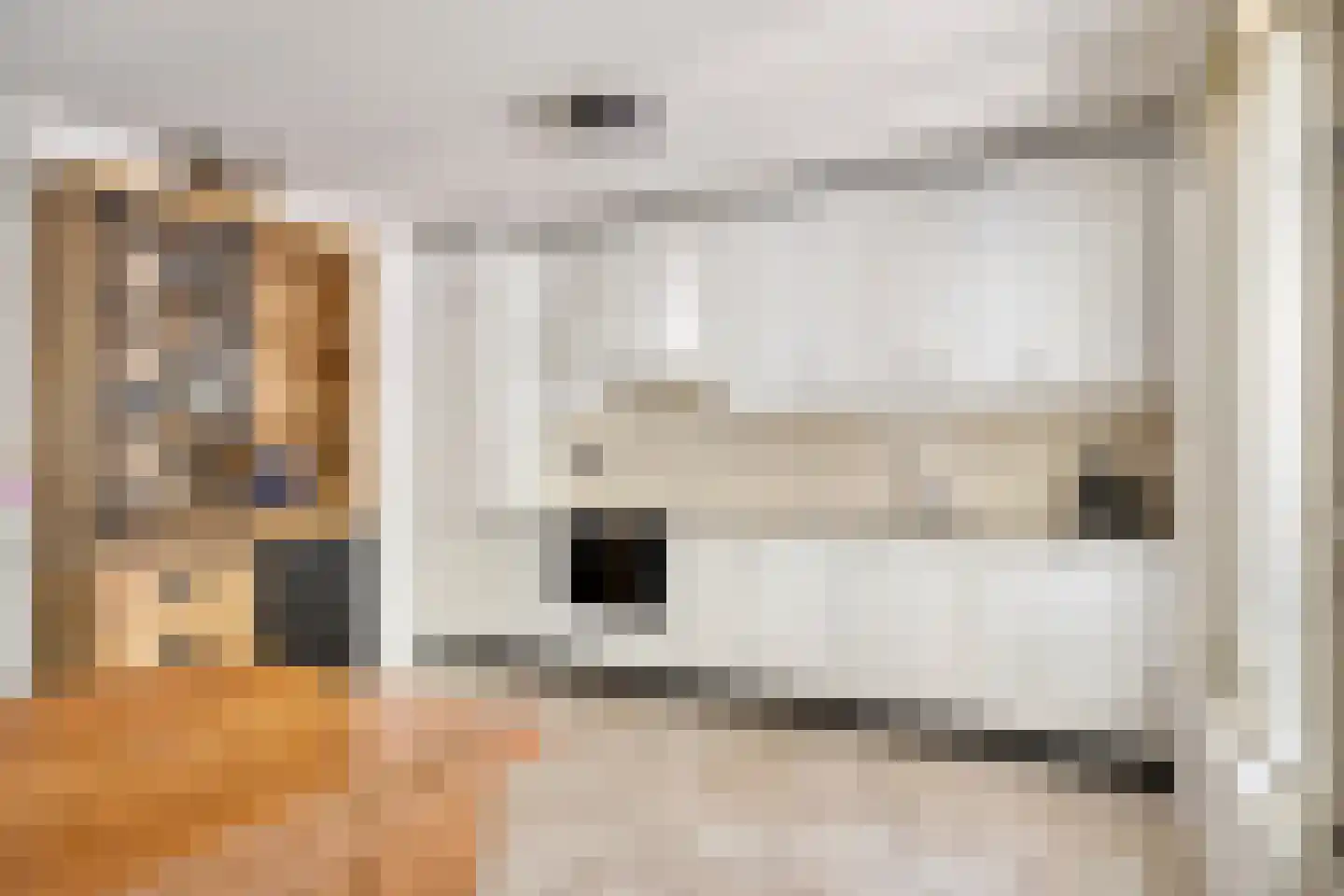 Vogelzangstraat 47 Heerhugowaard thumbnail 15
