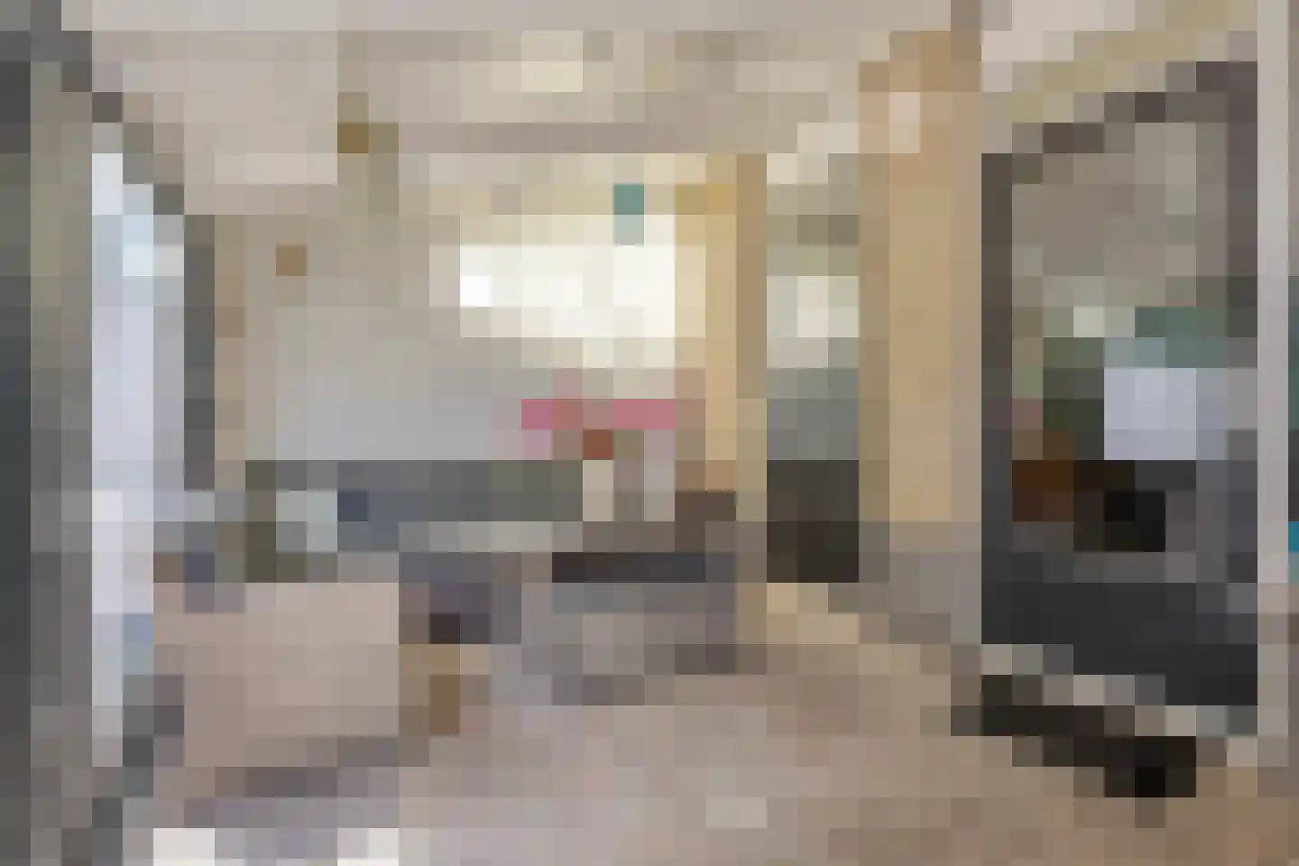 Vogelzangstraat 47 Heerhugowaard thumbnail 36