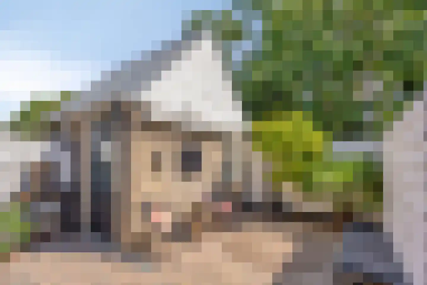 Vogelzangstraat 47 Heerhugowaard thumbnail 38