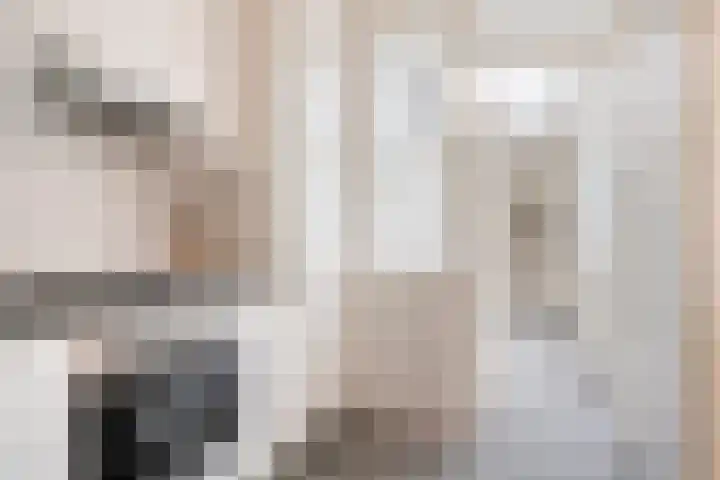 Vogelzangsweg 12 Goes thumbnail 15