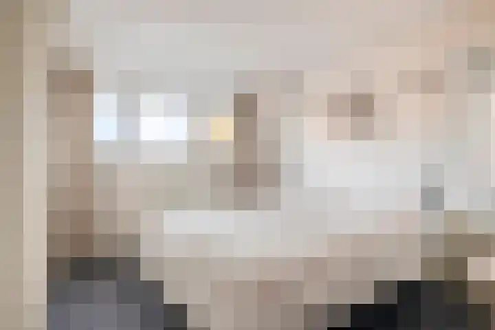 Vogelzangsweg 12 Goes thumbnail 20