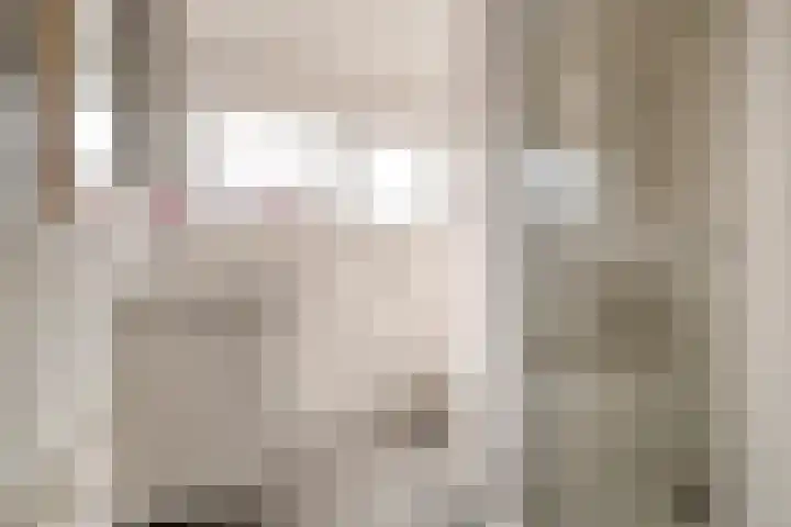 Vogelzangsweg 12 Goes thumbnail 23
