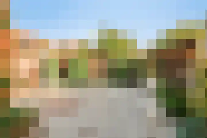 Vogelzangsweg 12 Goes thumbnail 38