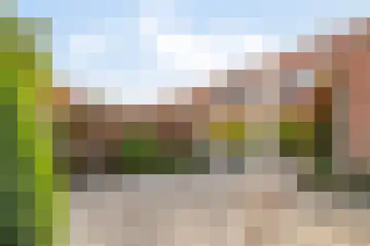 Vogelzangsweg 12 Goes thumbnail 39