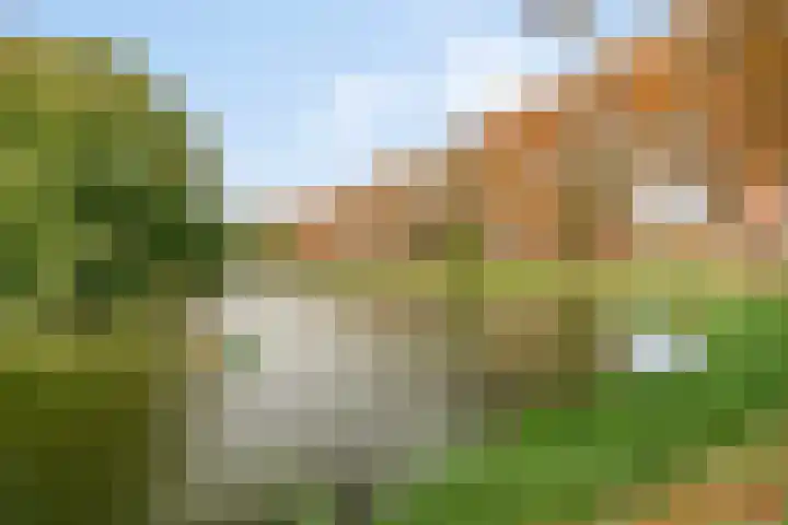 Vogelzangsweg 12 Goes thumbnail 43