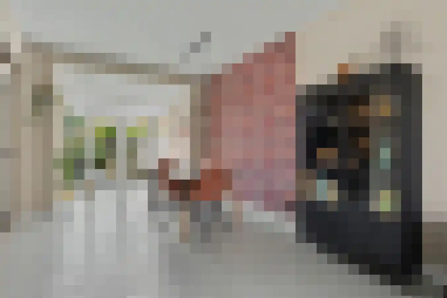 Vogelzangsweg 13 Goes thumbnail 14