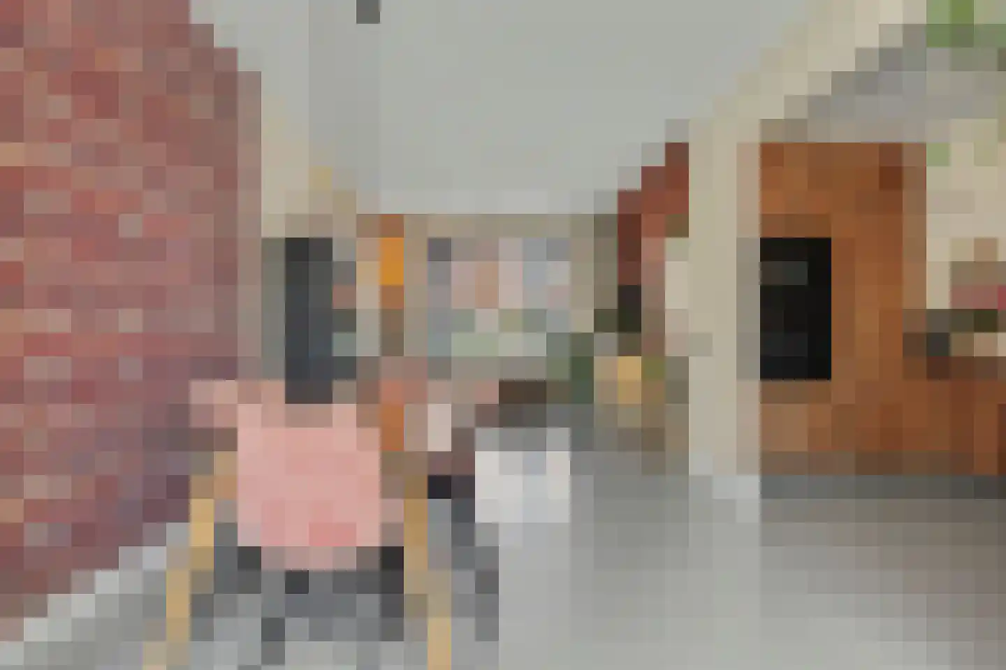 Vogelzangsweg 13 Goes thumbnail 18