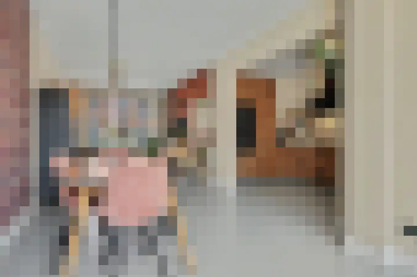 Vogelzangsweg 13 Goes thumbnail 19