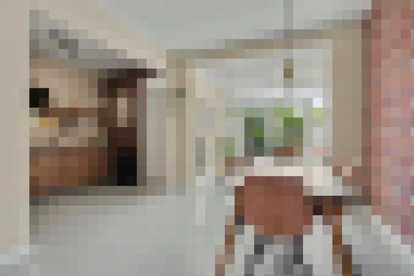 Vogelzangsweg 13 Goes thumbnail 20