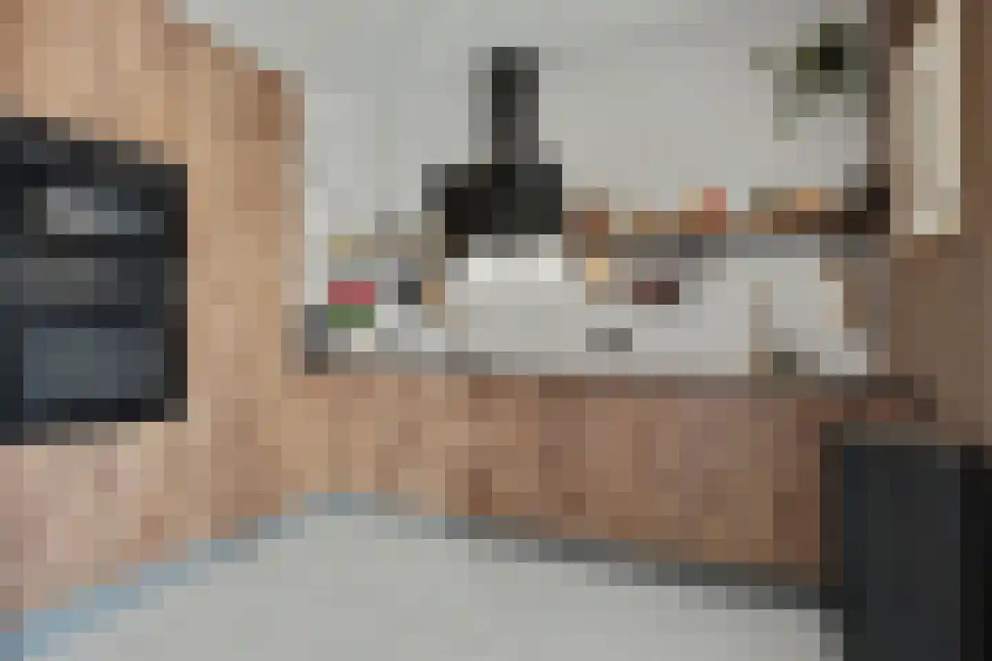 Vogelzangsweg 13 Goes thumbnail 22