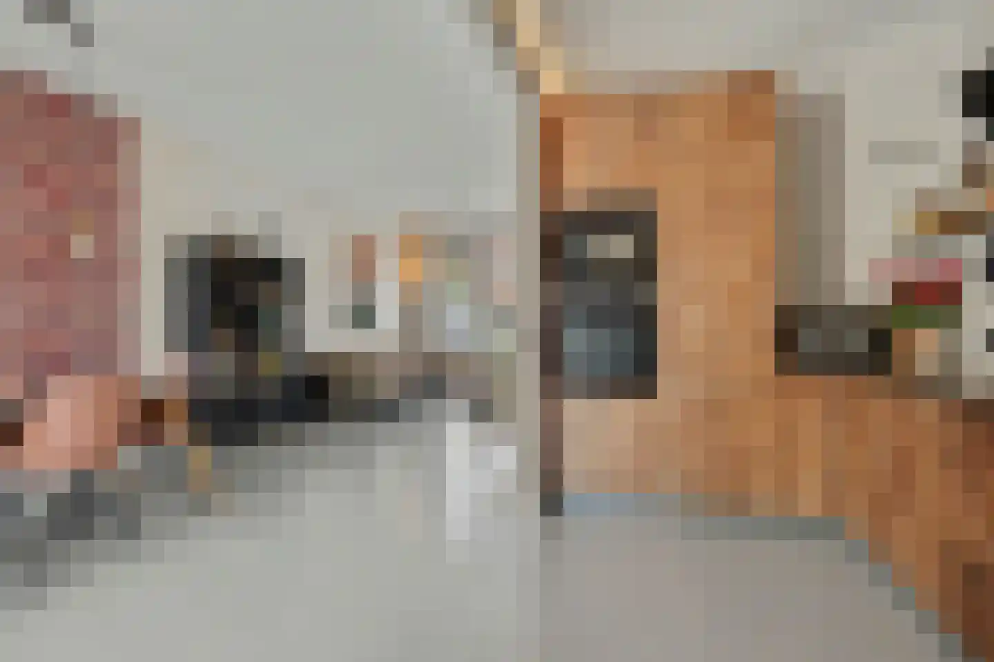 Vogelzangsweg 13 Goes thumbnail 23