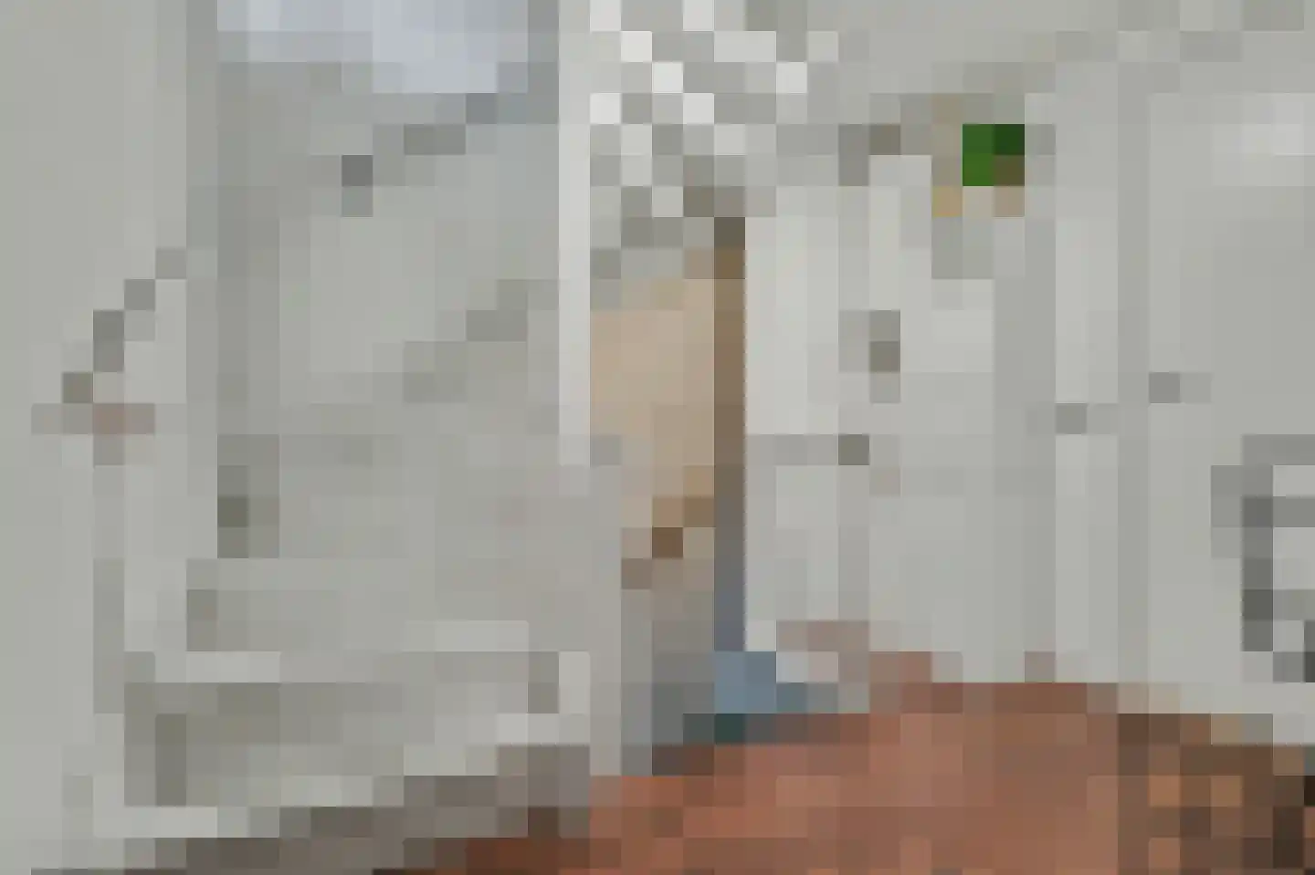 Vogelzangsweg 13 Goes thumbnail 26