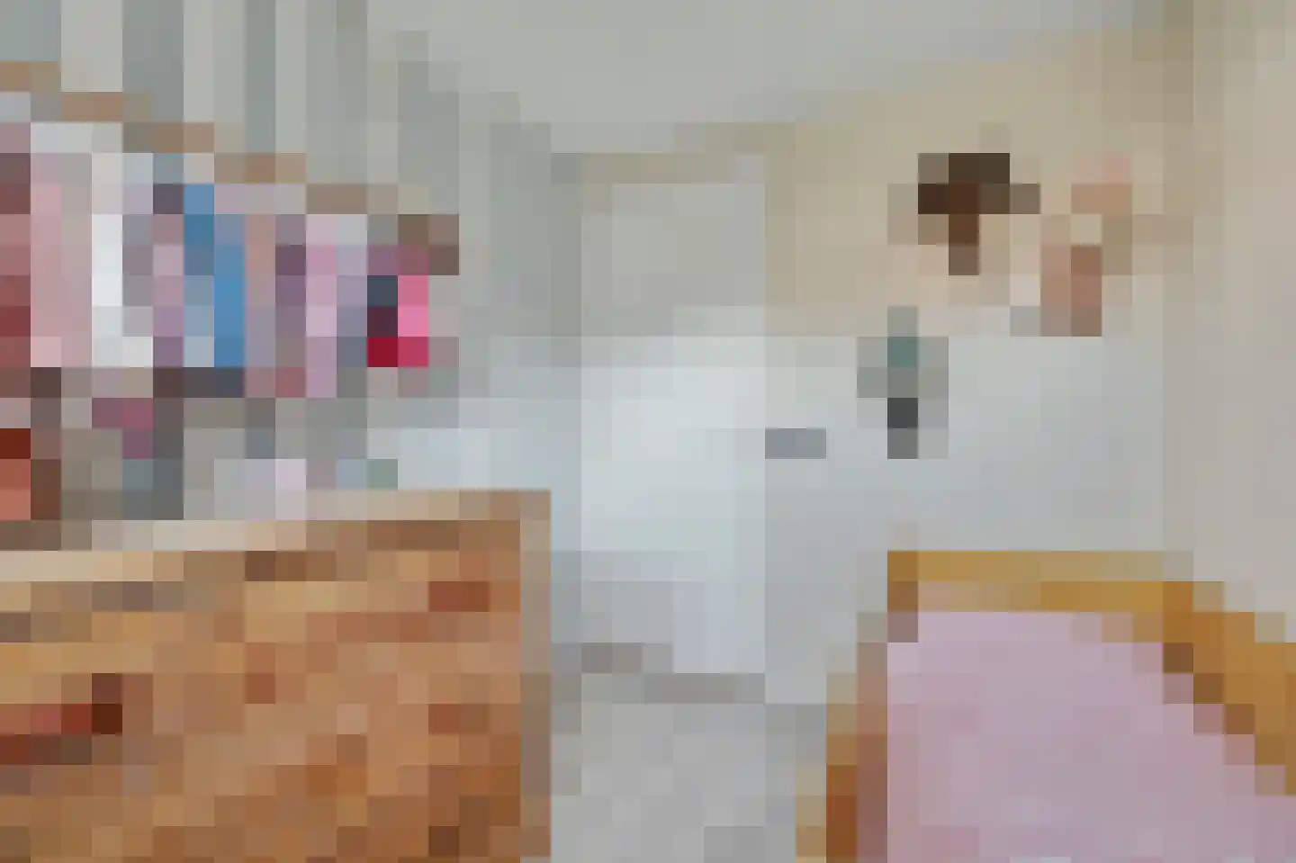 Vogelzangsweg 13 Goes thumbnail 31