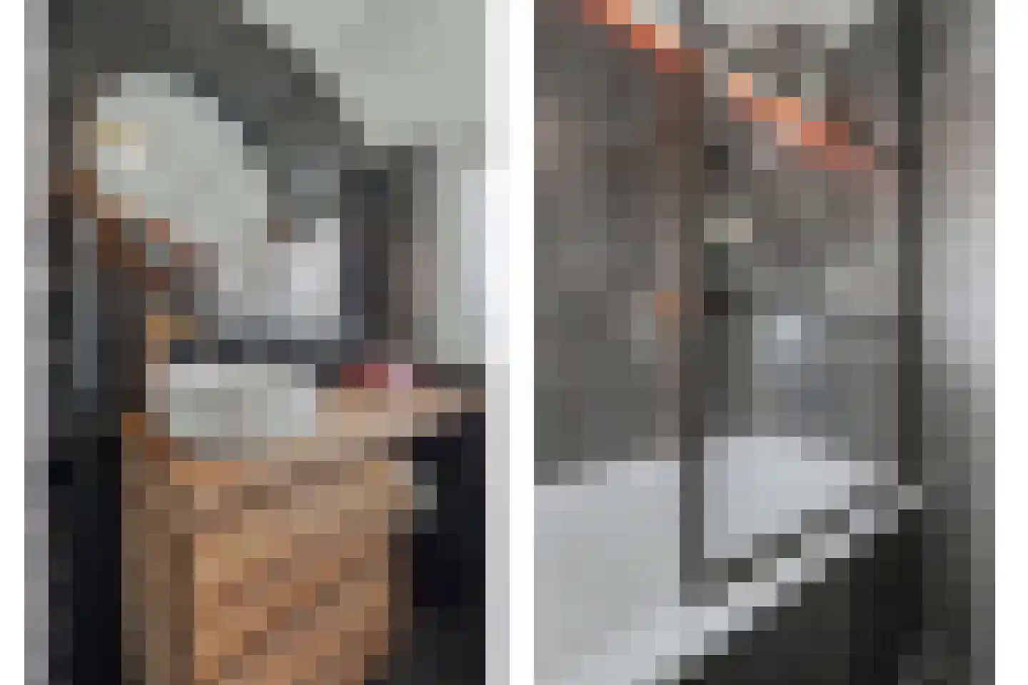 Vogelzangsweg 13 Goes thumbnail 35