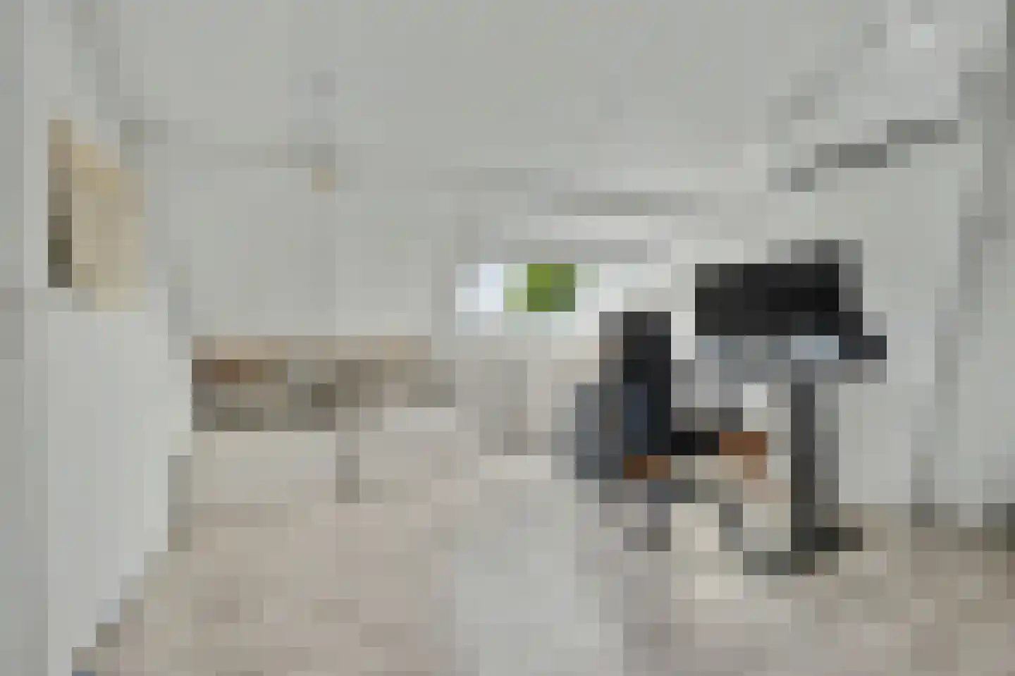 Vogelzangsweg 13 Goes thumbnail 36