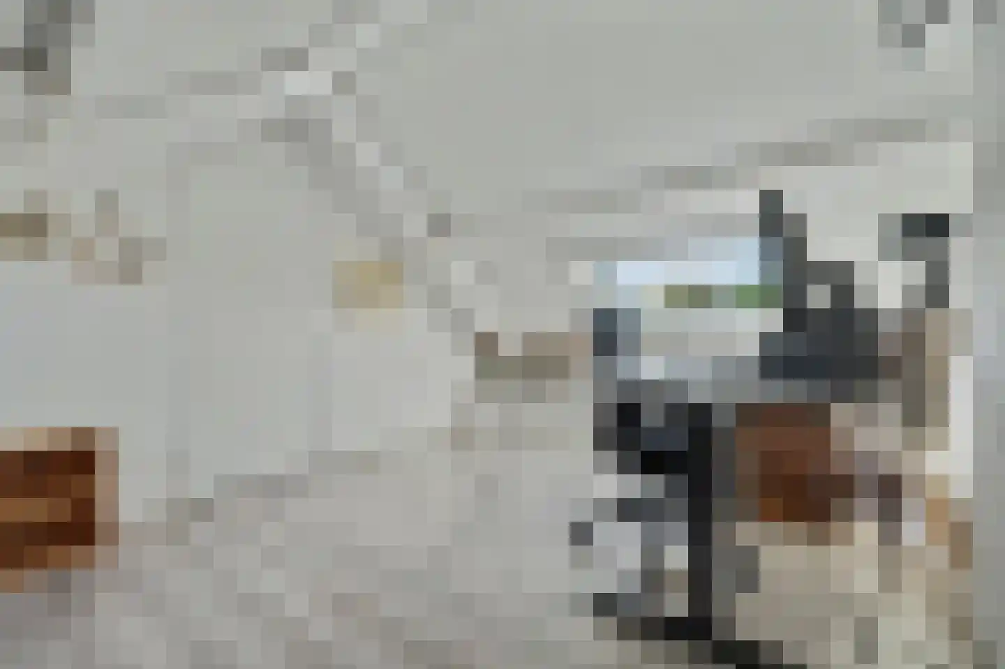 Vogelzangsweg 13 Goes thumbnail 38