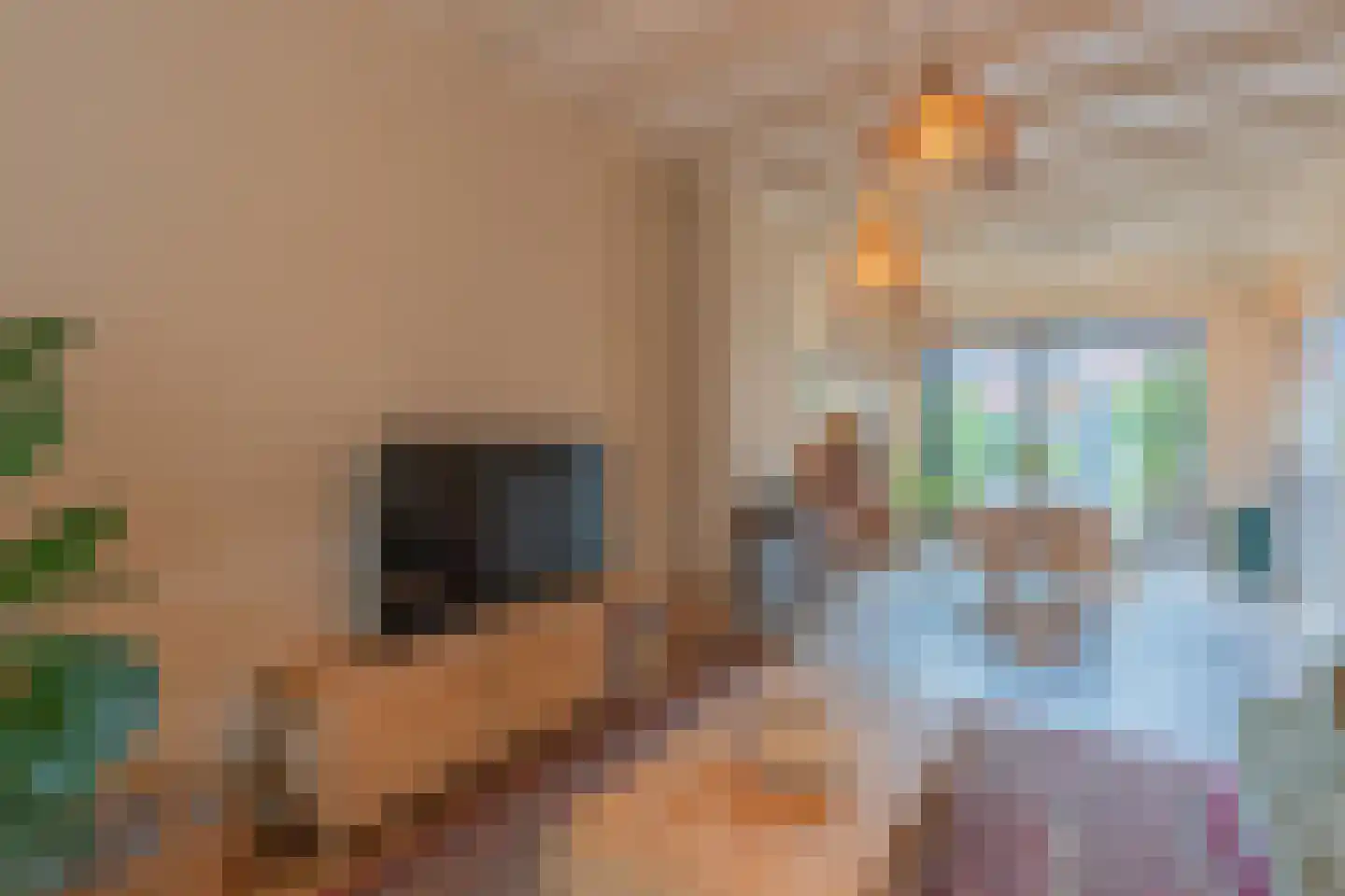 Vogelzangsweg 5 Goes thumbnail 12