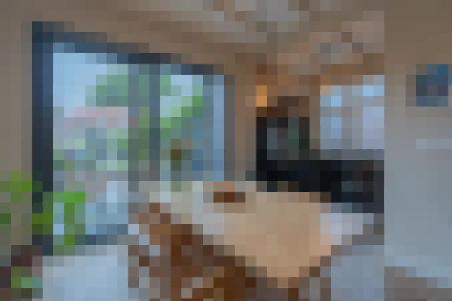 Vogelzangsweg 5 Goes thumbnail 15