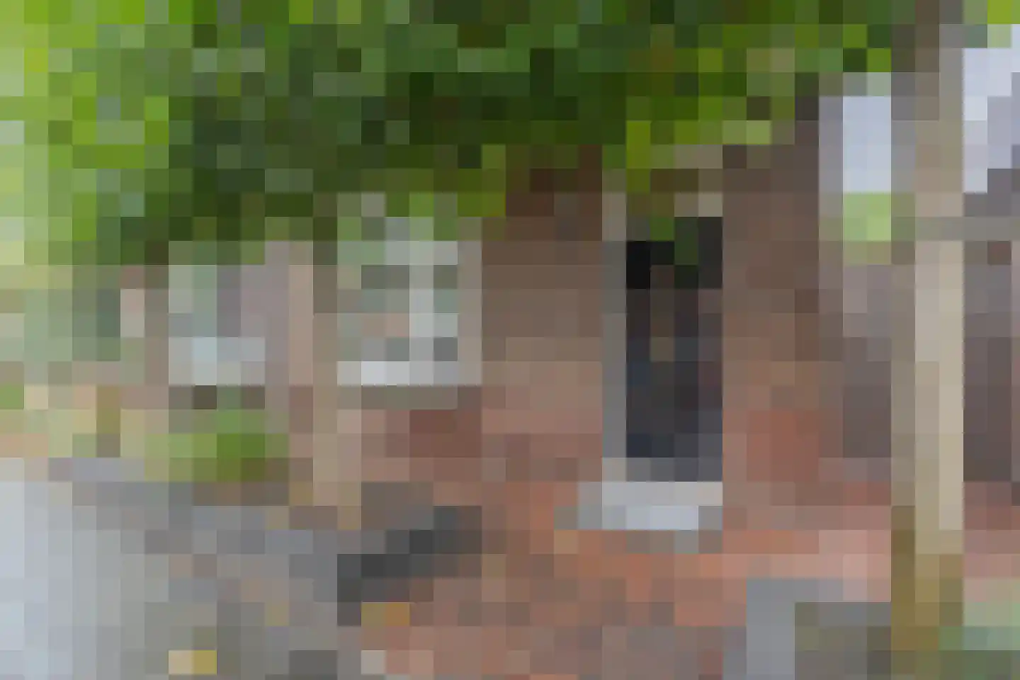 Vogelzangsweg 5 Goes foto 3
