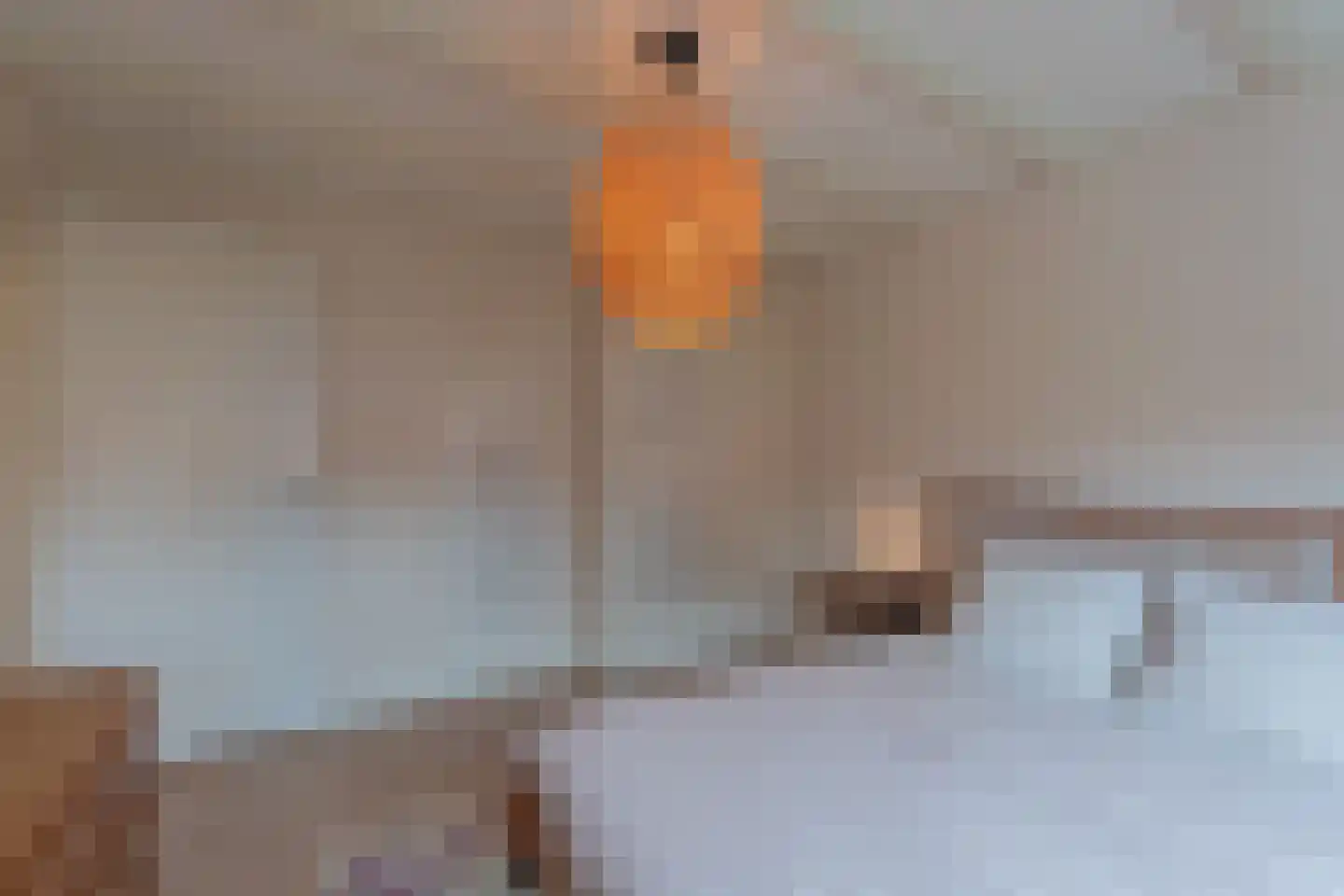 Vogelzangsweg 5 Goes thumbnail 34