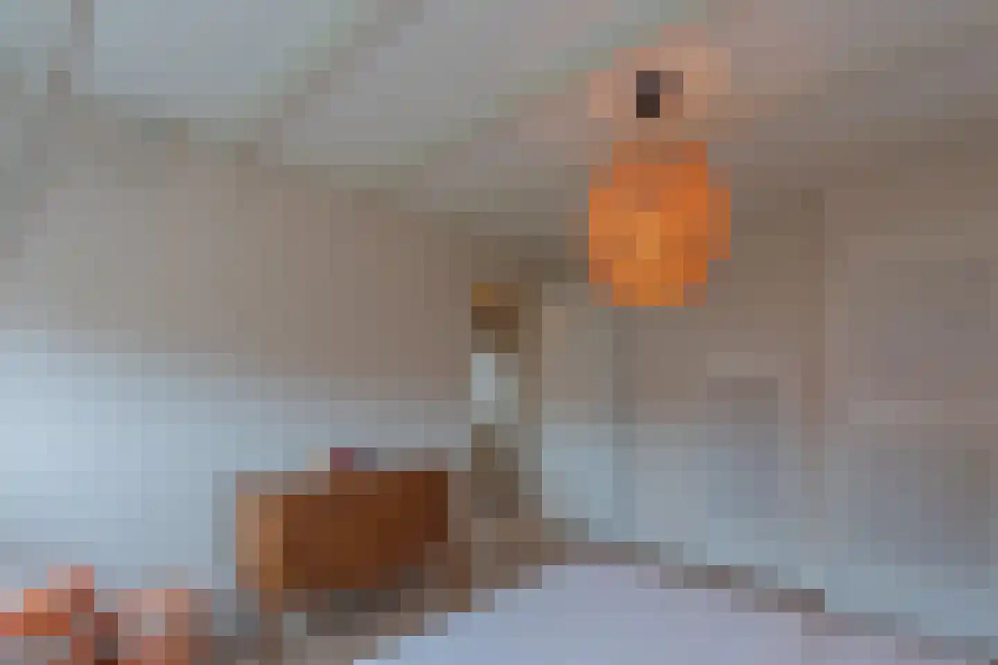 Vogelzangsweg 5 Goes thumbnail 35