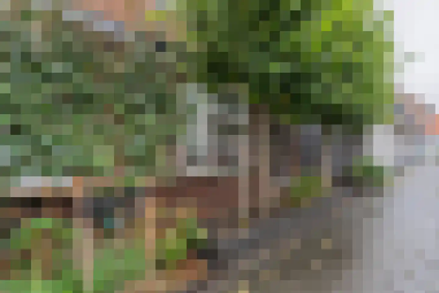 Vogelzangsweg 5 Goes thumbnail 4