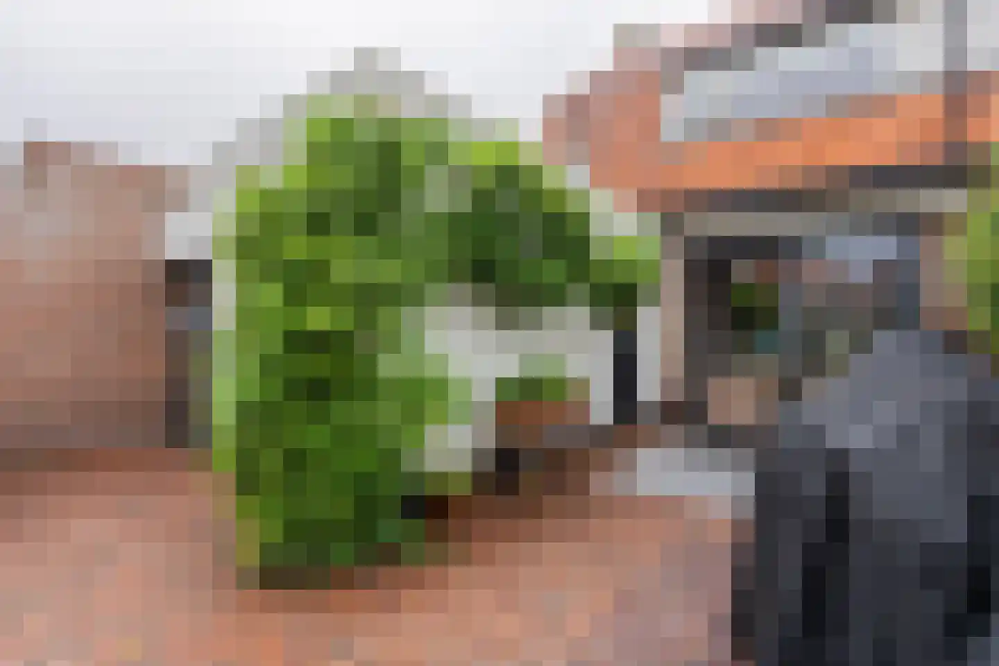 Vogelzangsweg 5 Goes thumbnail 44